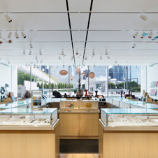 Art Institute of Chicago, Main Store, Modern Wing